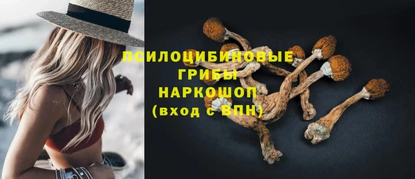 ПСИЛОЦИБИНОВЫЕ ГРИБЫ Елизово