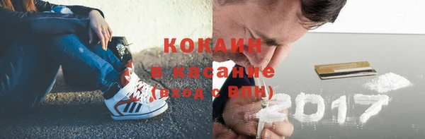 ПСИЛОЦИБИНОВЫЕ ГРИБЫ Елизово