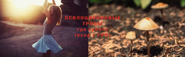 ПСИЛОЦИБИНОВЫЕ ГРИБЫ Елизово