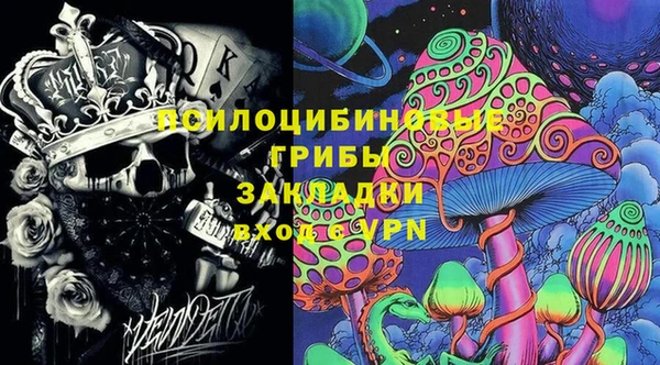 твердый Елабуга