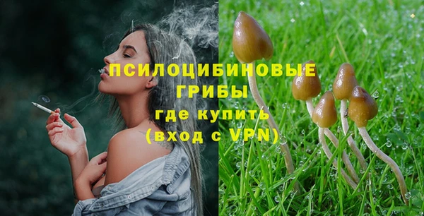 твердый Елабуга