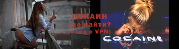 Альфа ПВП Ельня