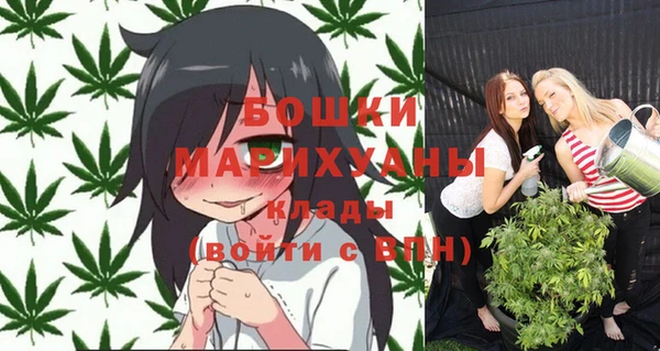 ПСИЛОЦИБИНОВЫЕ ГРИБЫ Елизово