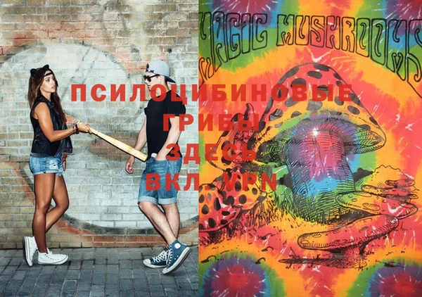 Альфа ПВП Ельня
