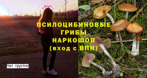 твердый Елабуга
