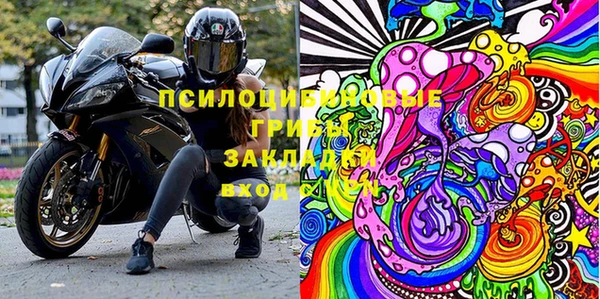ПСИЛОЦИБИНОВЫЕ ГРИБЫ Елизово